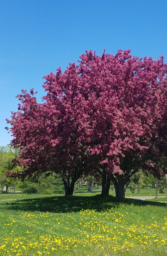 Park «Ridgway Parkway Park», reviews and photos, 3109 Ridgway Pkwy, Minneapolis, MN 55413, USA