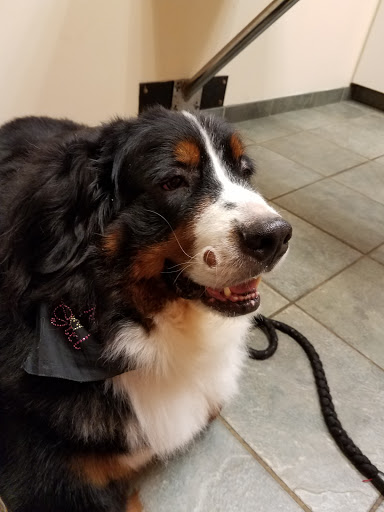 850 S Riverside Dr, Elmhurst, IL 60126, USA