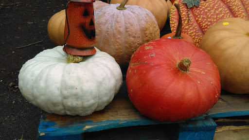 Produce Market «Highland Orchards Farm Market», reviews and photos, 1431 Foulk Rd, Wilmington, DE 19803, USA