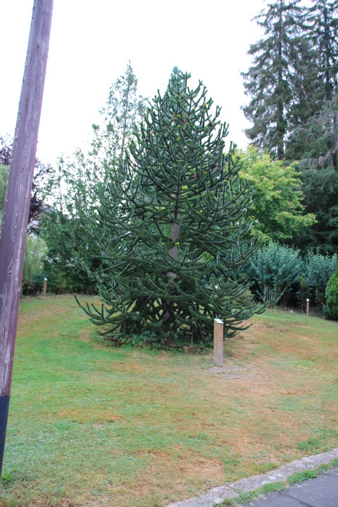Photo n° 1 de l'avis de Guy.A fait le 13/08/2020 à 17:01