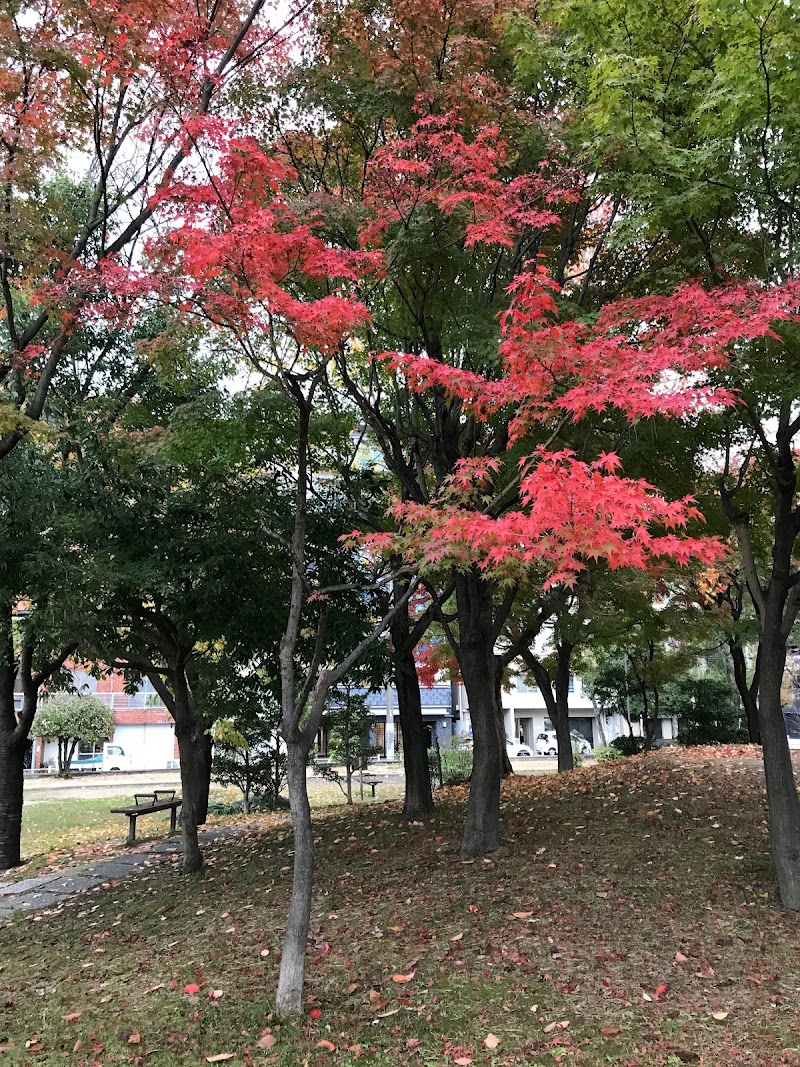 桜川公園