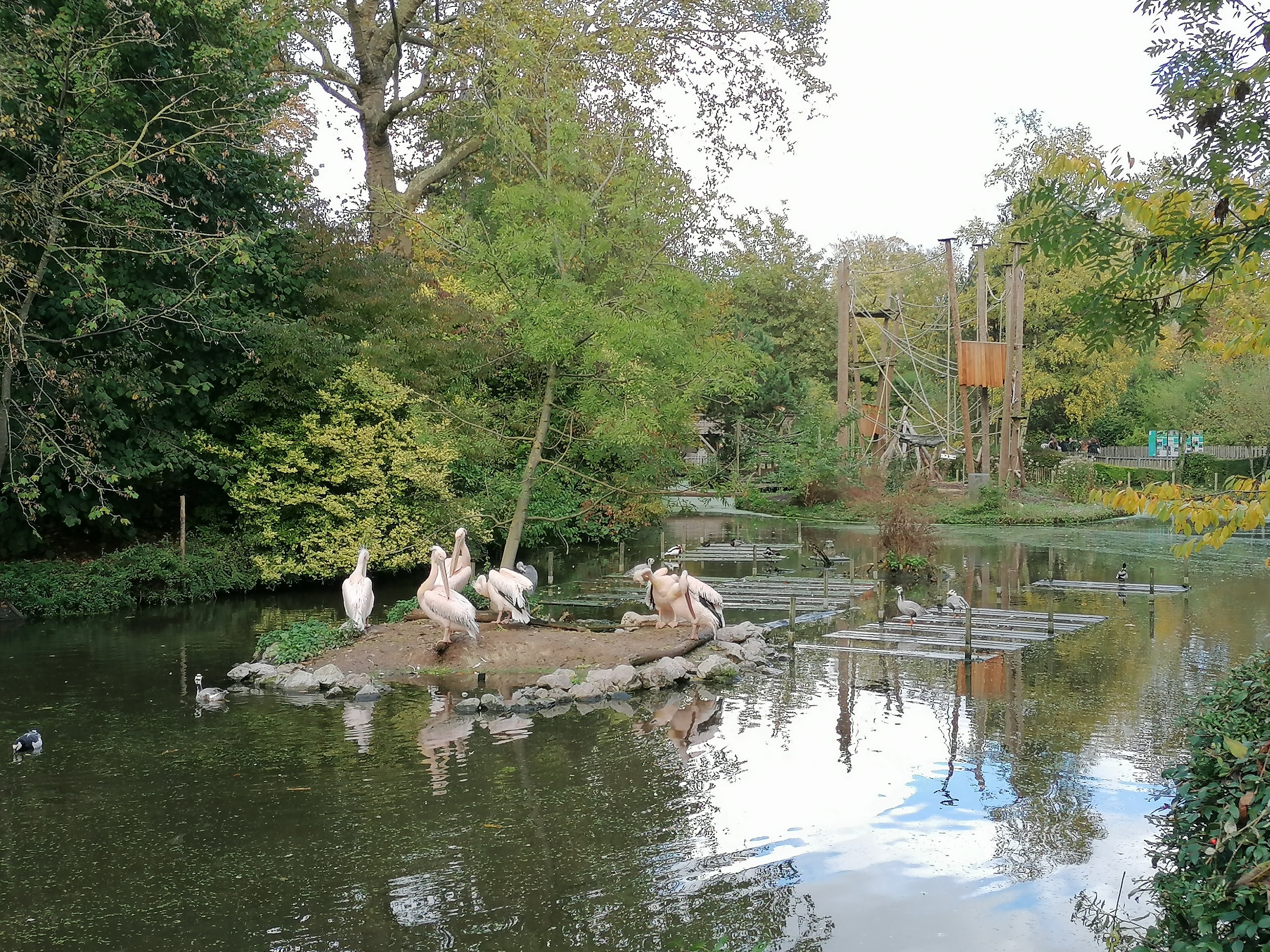 Photo n° 2 de l'avis de Gaele.e fait le 30/10/2023 à 08:36