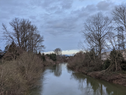 Nature Preserve «Black River Riparian Forest and Wetland», reviews and photos, Oakesdale Ave SW, Renton, WA 98057, USA