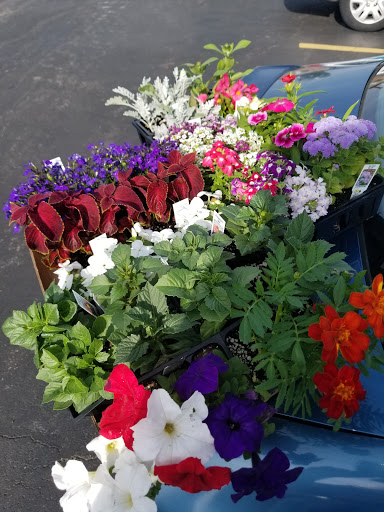 Florist «Lyndhurst Florist», reviews and photos, 5268 Mayfield Rd, Lyndhurst, OH 44124, USA