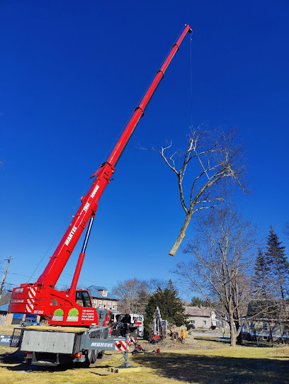 Martel Crane Service & Tree Removal