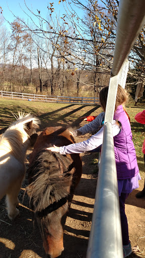 Cheshire Hollow Farm