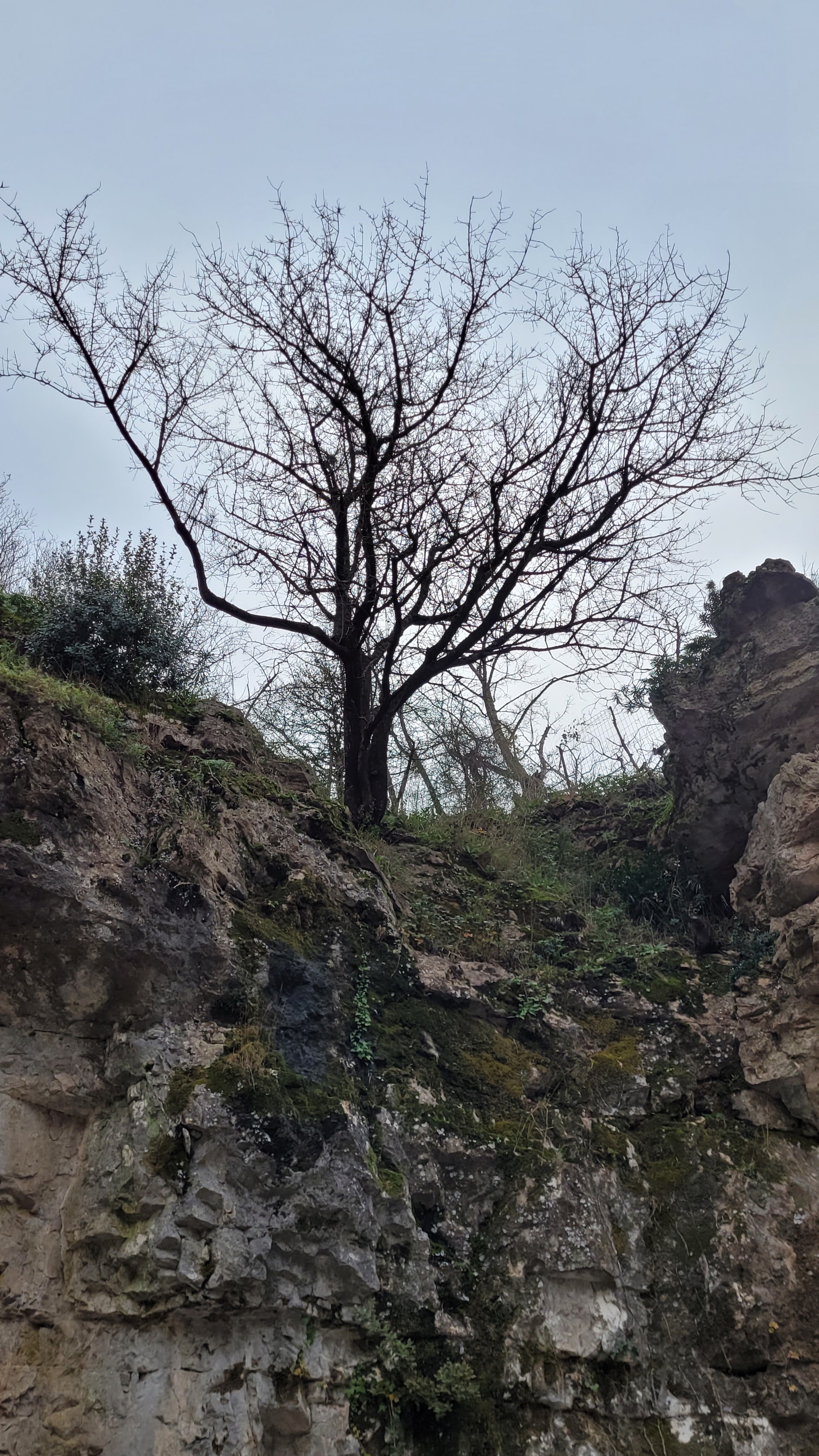 Photo n° 7 de l'avis de Salopette.o fait le 28/12/2022 à 18:35