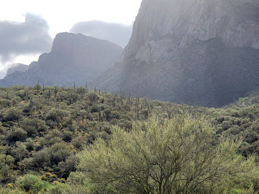 Tourist Attraction «Linda Vista Trail», reviews and photos, 730 E Linda Vista Rd, Oro Valley, AZ 85737, USA
