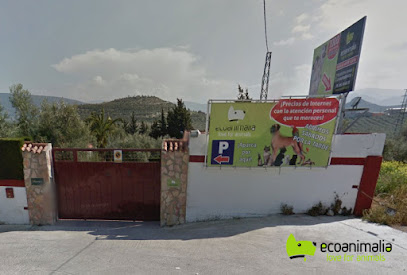 Ecoanimalia | Love For Animals - Servicios para mascota en Jaén