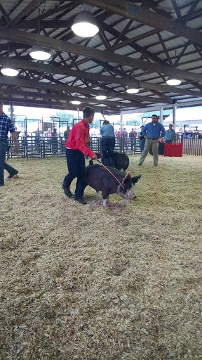 Fairground «Owen County Fairgrounds», reviews and photos, S East St, Spencer, IN 47460, USA