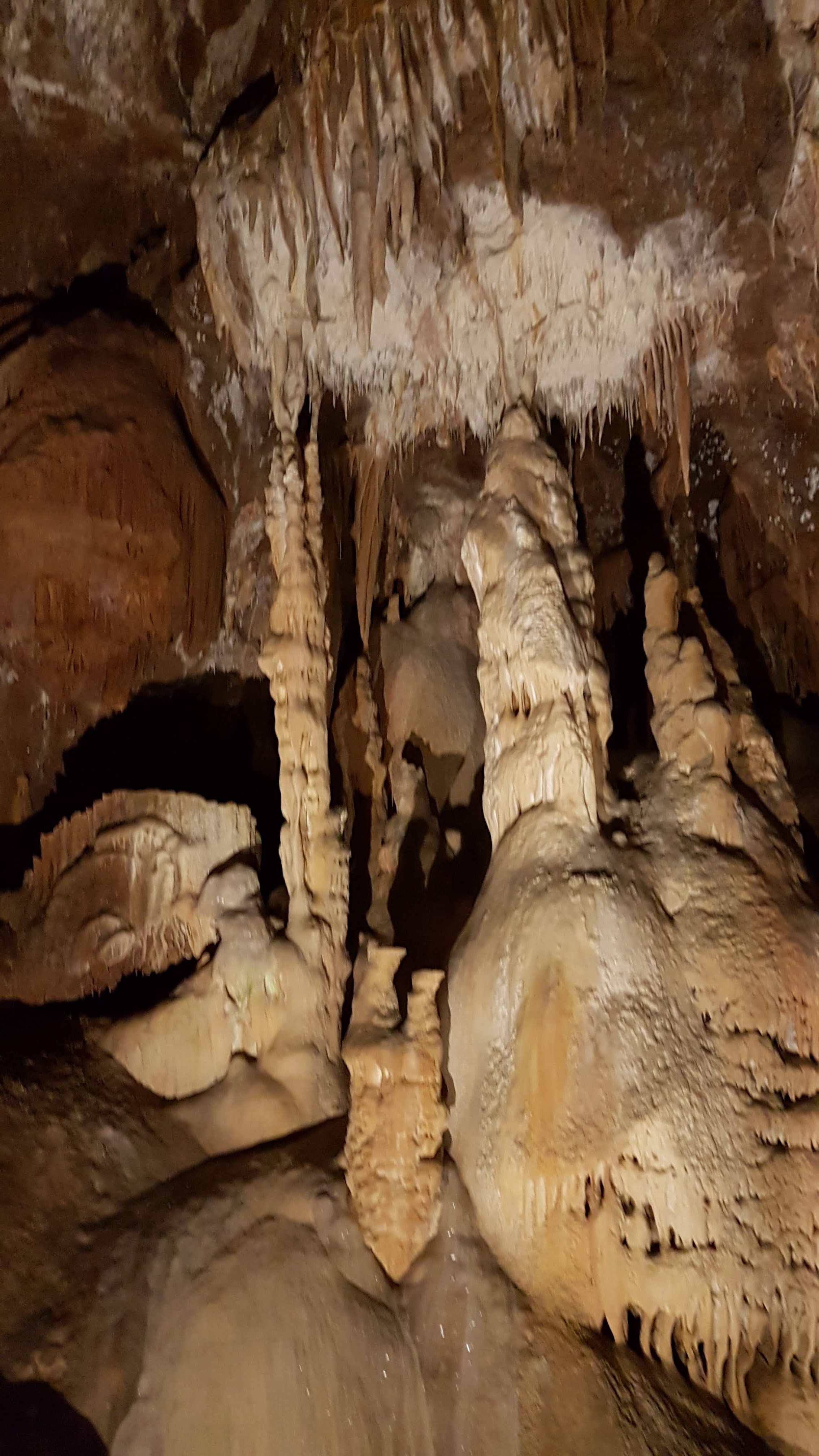 Photo n° 10 de l'avis de Philippe.l fait le 01/08/2018 à 20:49