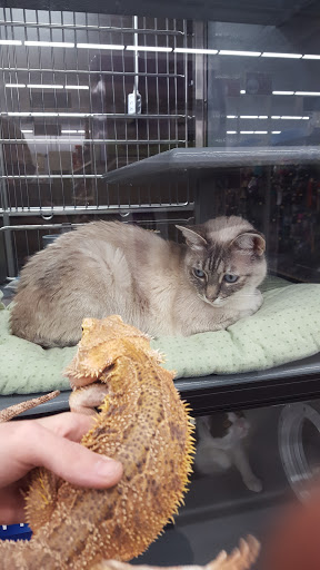 Pet Supply Store «PetSmart», reviews and photos, 19075 Interstate 45 S, Shenandoah, TX 77385, USA