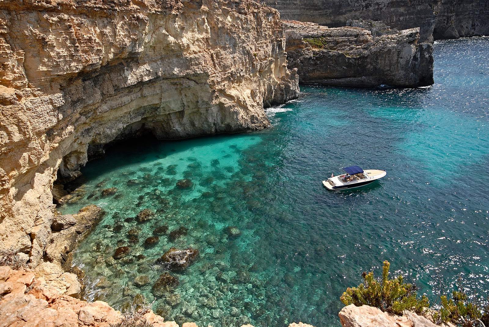 Photo de Blue Lagoon Beach zone sauvage