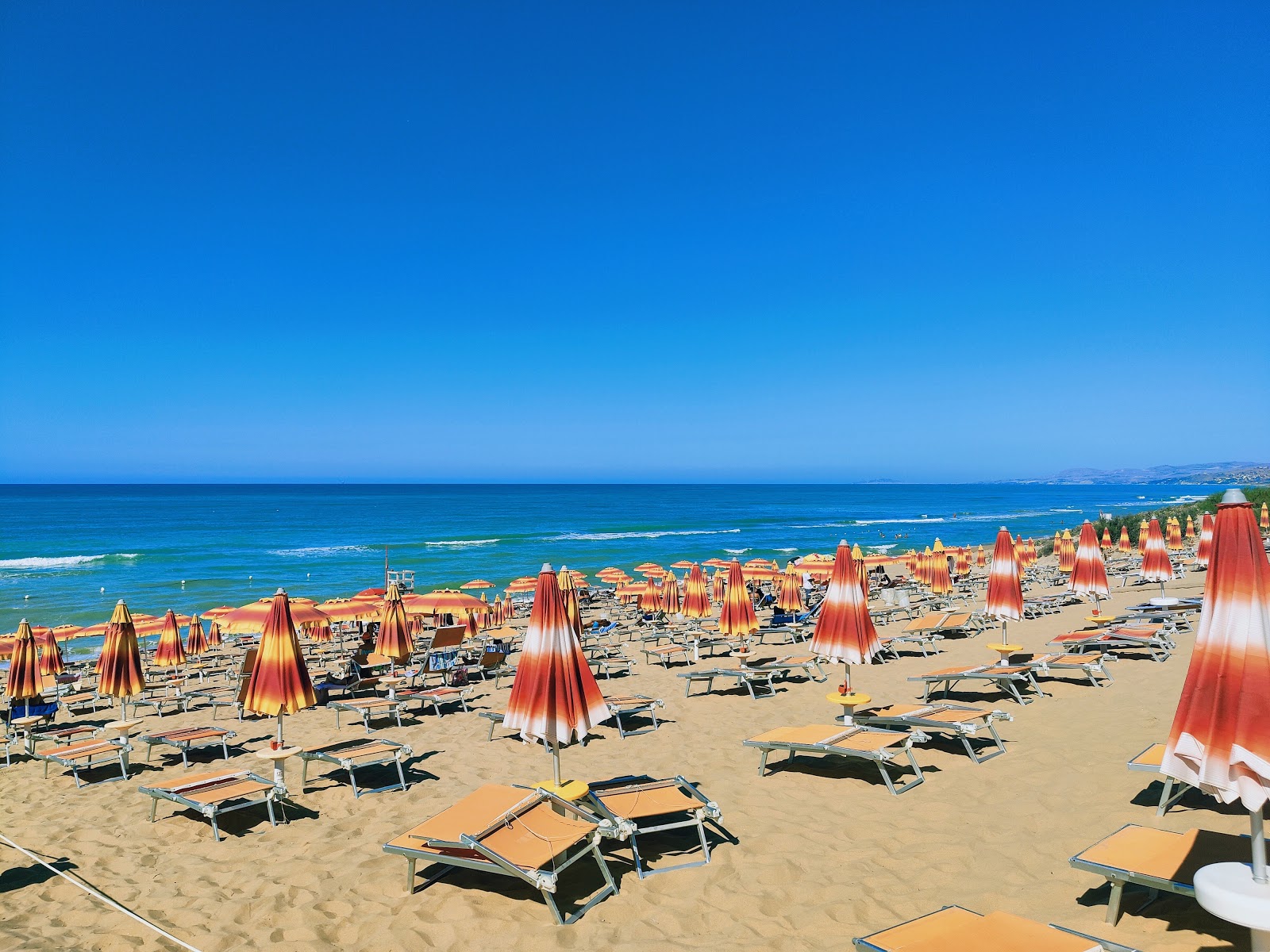 Macchitella photo #9