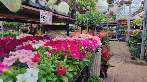 Florist «Metropolitan Plant and Flower Exchange», reviews and photos, 471 NJ-10, West Orange, NJ 07052, USA