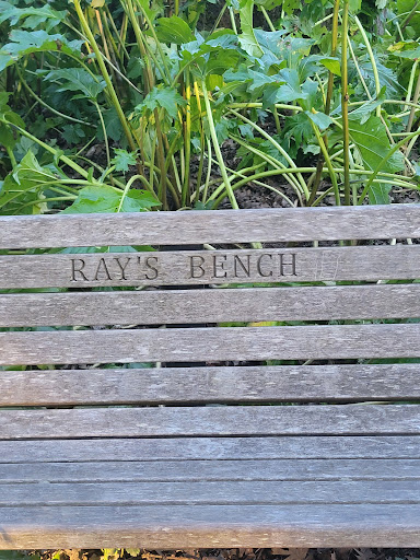 Park «Hendricks Park», reviews and photos, Summit Ave & Skyline Blvd, Eugene, OR 97403, USA