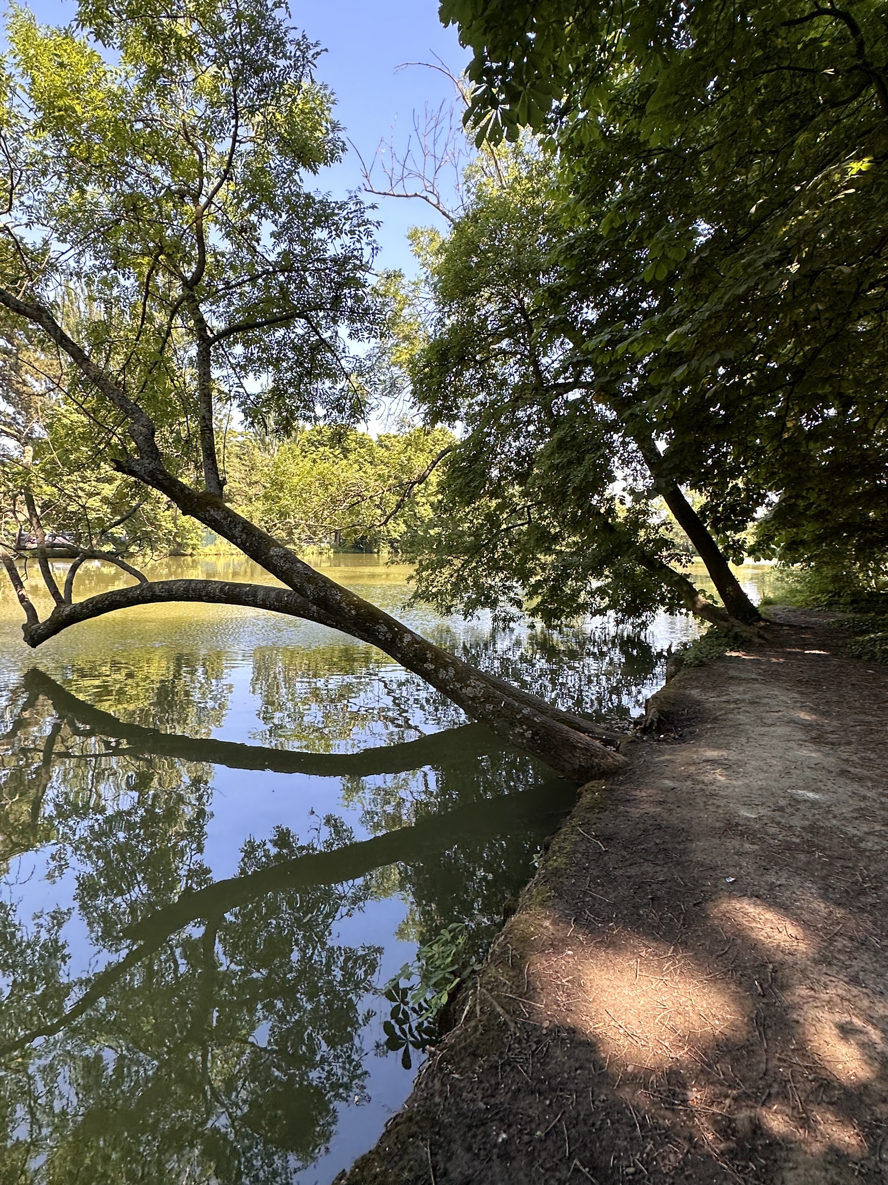 Photo n° 9 de l'avis de Rita.P fait le 08/06/2023 à 21:16