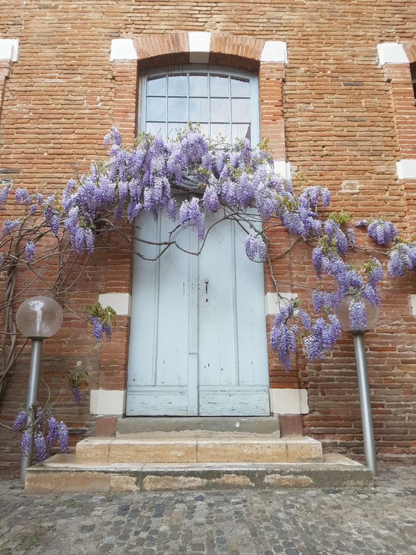 Photo n° 2 de l'avis de Tonio.a fait le 08/06/2019 à 08:28