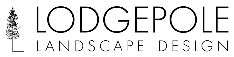 Lodgepole Landscape Design