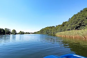 Rezerwat Buków - Wyspa na jeziorze przywidzkim image
