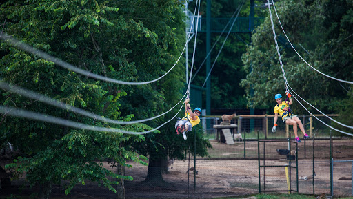 Zoo «Gators and Friends», reviews and photos, 11441 US-80, Greenwood, LA 71033, USA