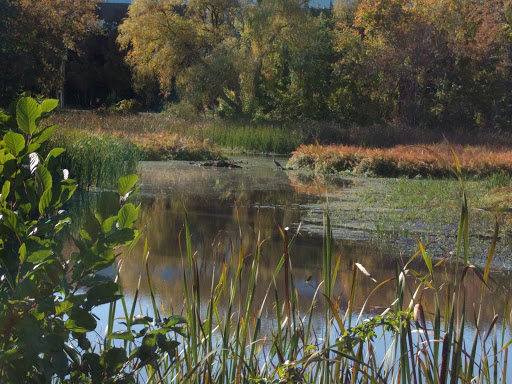 Golf Course «King Rail Reserve Golf Course», reviews and photos, 1 King Rail Dr, Lynnfield, MA 01940, USA