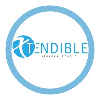 Xtendible Stretch Studio 20646