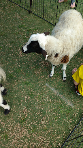 Golf Club «Stoneybrook Golf Club», reviews and photos, 21251 Stoneybrook Golf Blvd, Estero, FL 33928, USA