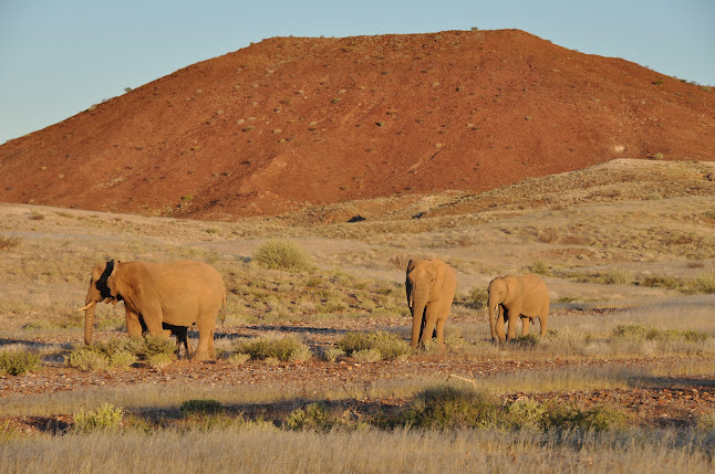 Kommentare und Rezensionen über South Africa Stay GmbH