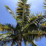 Photo n°1 de l'avis de Stefan.a fait le 10/08/2019 à 13:25 sur le  Hotel The Residence à Funchal