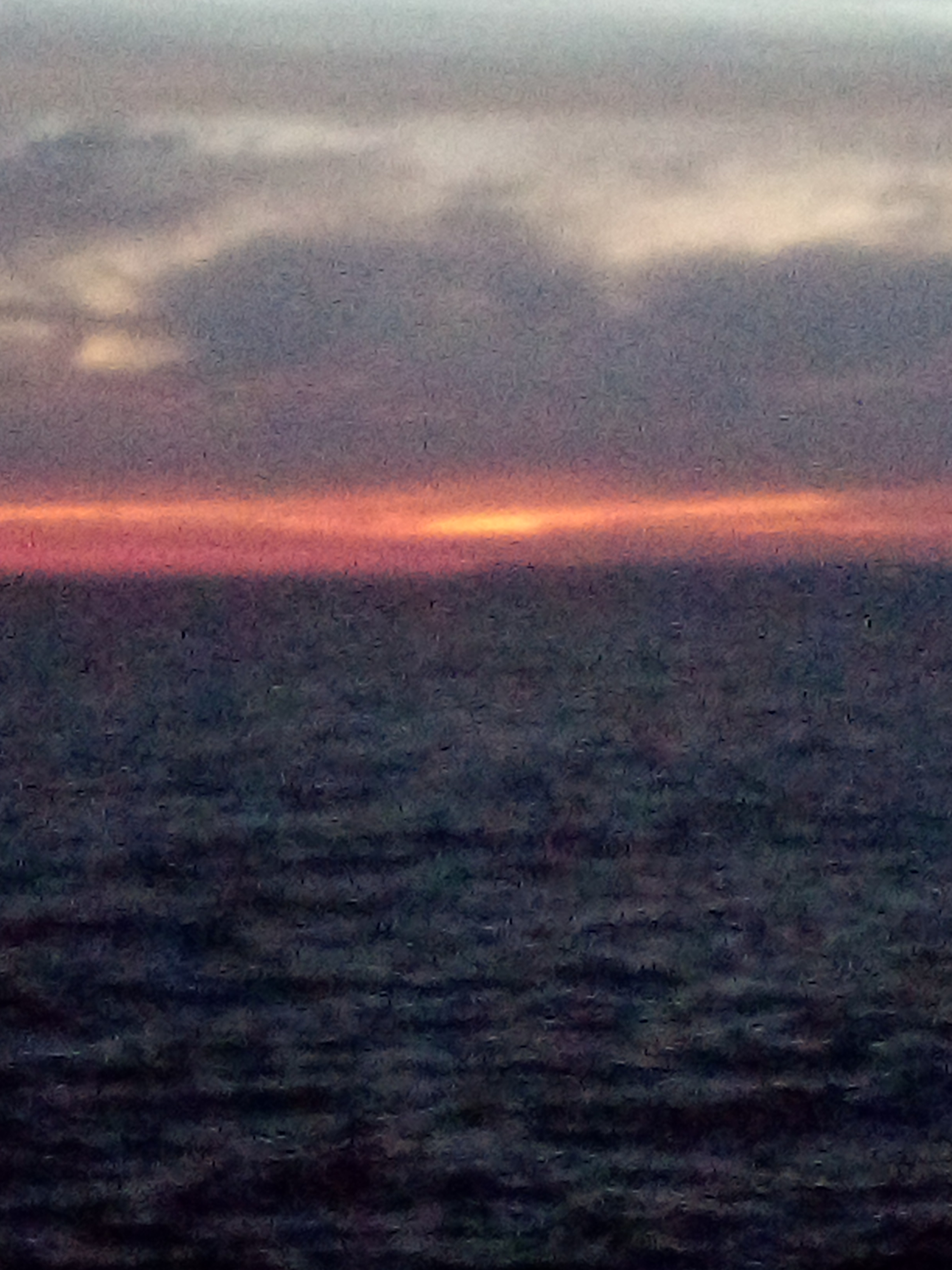 Photo n° 8 de l'avis de Naudy.e fait le 24/07/2019 à 22:34