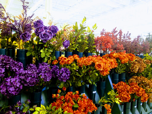 Craft Store «Hobby Lobby», reviews and photos, 1280 Willow Pass Rd, Concord, CA 94520, USA