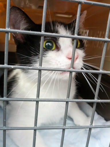 Pet Supply Store «Petco Animal Supplies», reviews and photos, 1391 NJ-35, Middletown, NJ 07748, USA