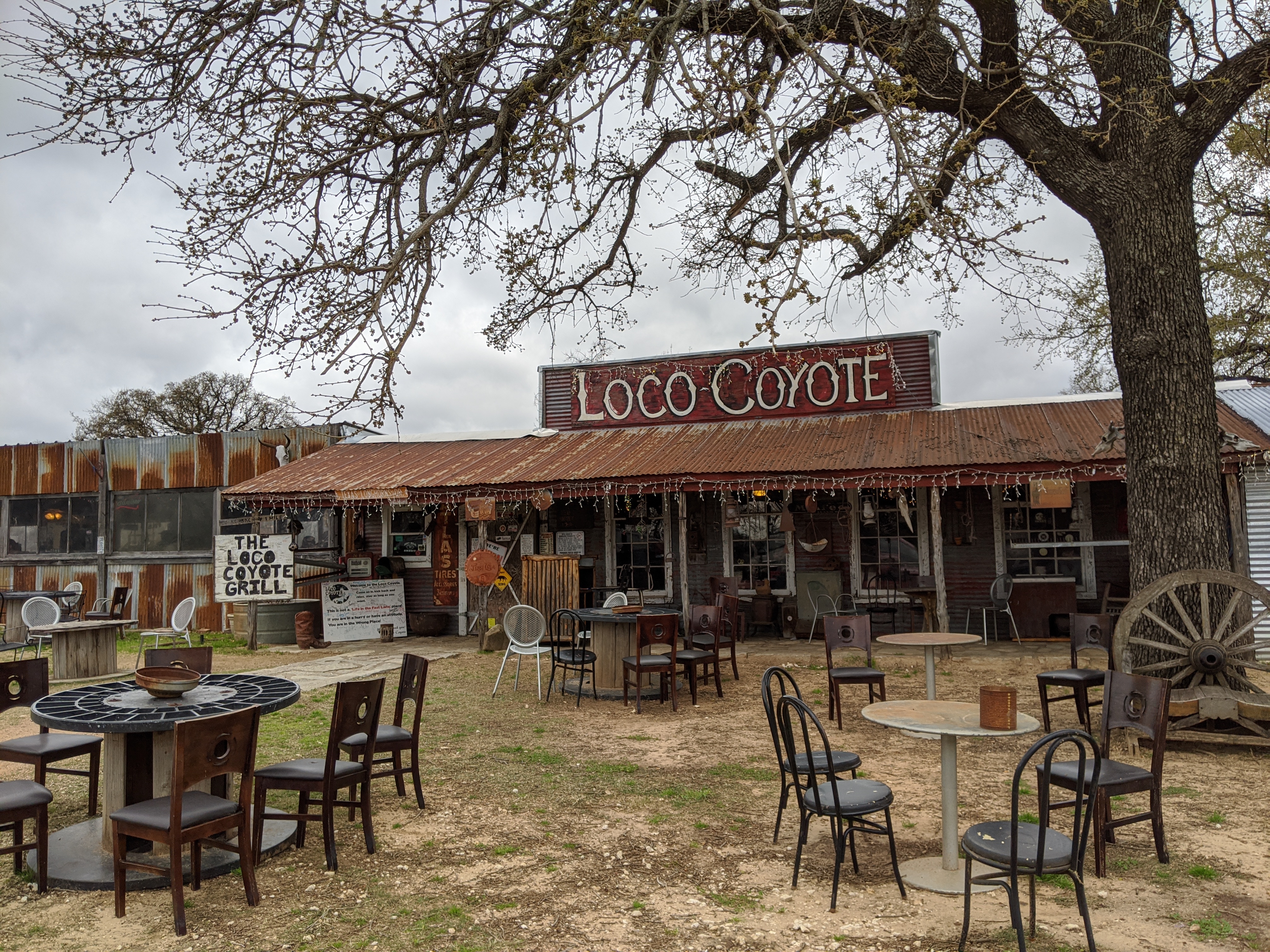 Picture of a place: Loco Coyote Grill