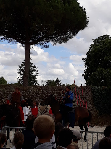 Association culturelle association les amis du chateau Clisson