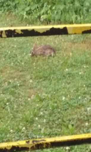 Commercial Printer «RR Donnelley», reviews and photos, 709 A Ave E, Seymour, IN 47274, USA