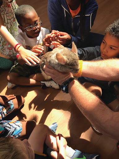 Youth Organization «South Mountain YMCA», reviews and photos, 13 Jefferson Ave, Maplewood, NJ 07040, USA