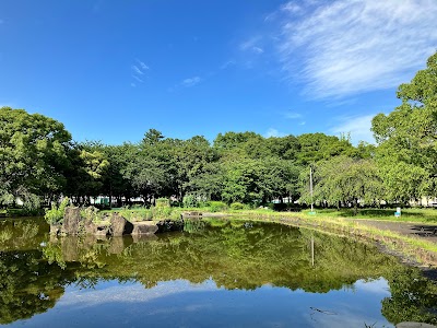 大江川緑地