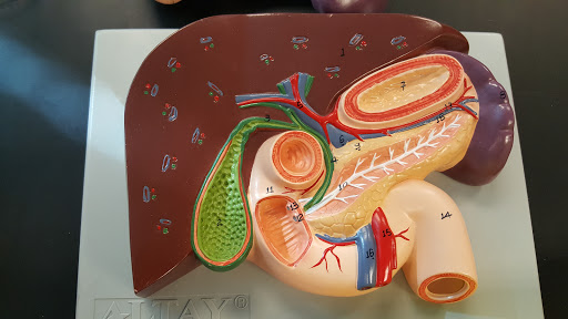 Book Store «Chattahoochee Technical College Bookstore», reviews and photos, 980 S Cobb Dr, Marietta, GA 30060, USA