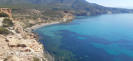 Playa Amarilla