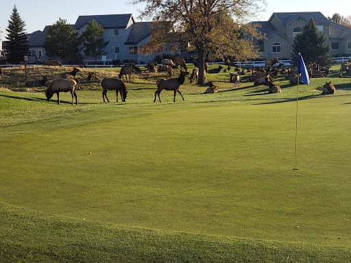 Golf Course «Mariana Butte Golf Course», reviews and photos, 701 Clubhouse Dr, Loveland, CO 80537, USA