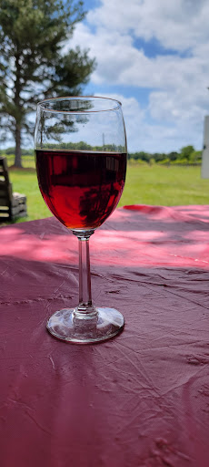 Winery «Strong Tower Vineyard & Winery», reviews and photos, 17810 Forge Dr, Spring Hill, FL 34610, USA