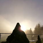 Photo n°1 de l'avis de Claudia.a fait le 06/11/2019 à 06:22 sur le  Hotel Reppert à Hinterzarten