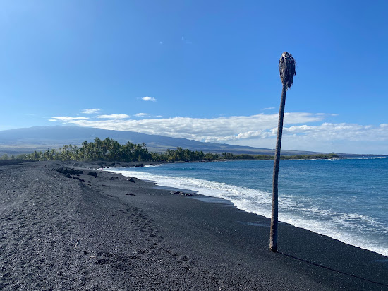 Lone Palm beach
