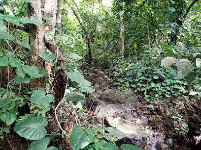 Reserva Natural Los Guaimaros