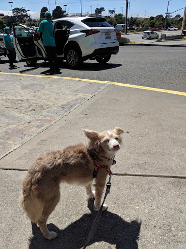 Car Wash «Del Rey Car Wash», reviews and photos, 810 Canyon Del Rey Blvd, Del Rey Oaks, CA 93940, USA