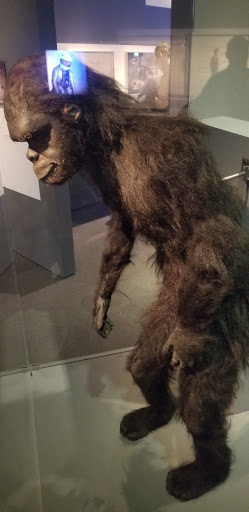 Museum «Museum of the Moving Image», reviews and photos, 36-01 35th Ave, Queens, NY 11106, USA