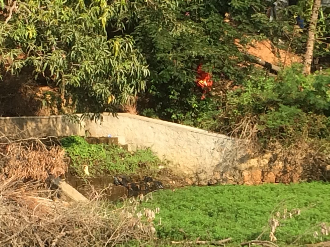 அடையார் குளம் குழியூர்