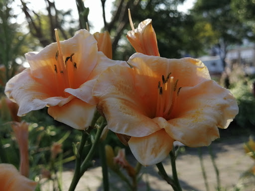 Park «Purgatory Creek Park Pavilion», reviews and photos, 13001 Technology Dr, Eden Prairie, MN 55344, USA