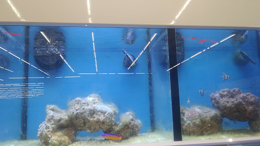 Pet Supply Store «Petco Animal Supplies», reviews and photos, 24413 Crenshaw Blvd #8, Torrance, CA 90505, USA